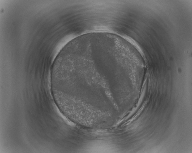 X0000062631006200601181715