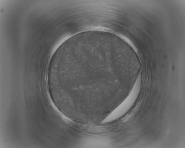 X0000062631007200601181715