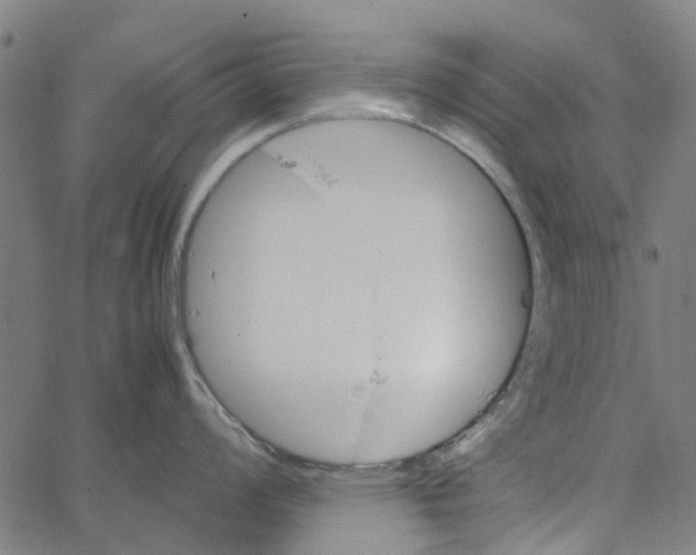 X0000062631008200601181715