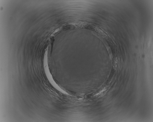 X0000062631010200601181714