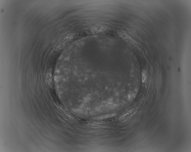 X0000062631011200601181714