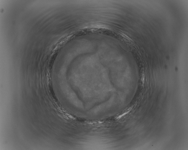 X0000062631014200601181714