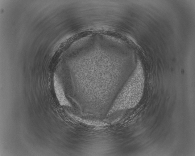 X0000062631016200601181714