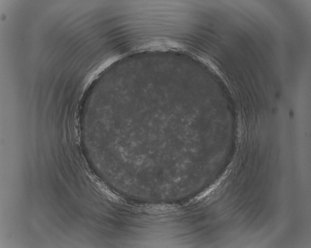 X0000062631018200601181714