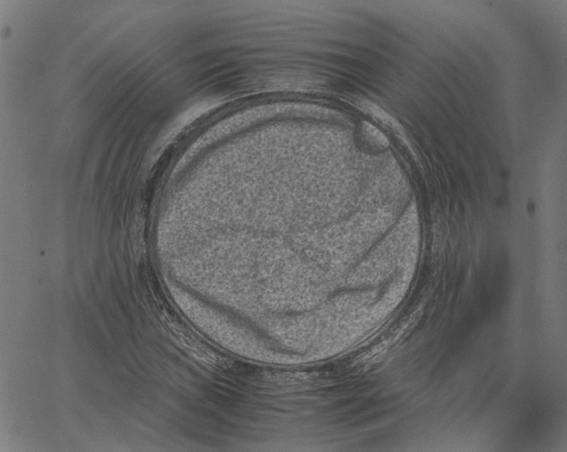 X0000062631019200601181714