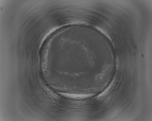 X0000062631021200601181714