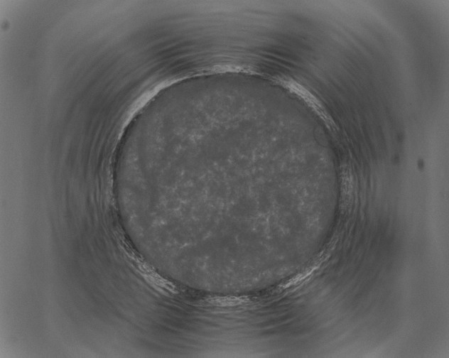 X0000062631023200601181714