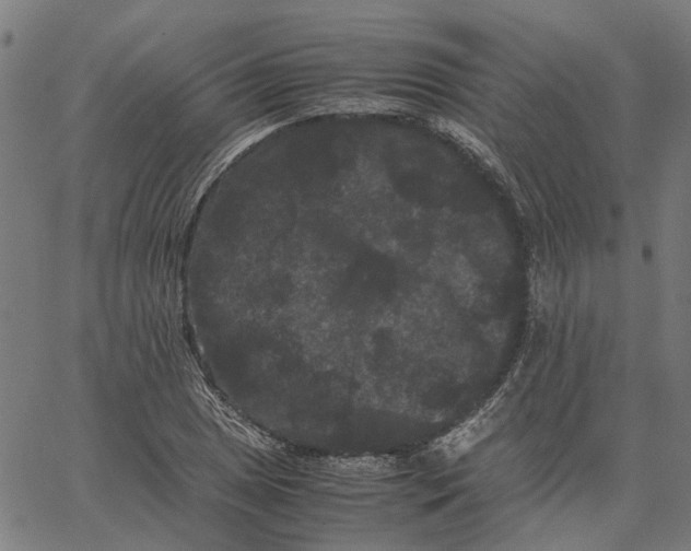 X0000062631025200601181714