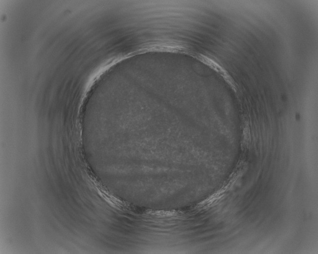 X0000062631027200601181714