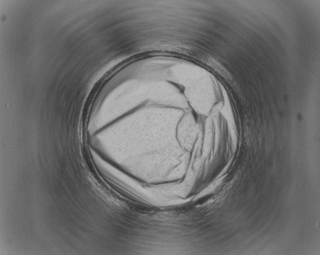 X0000062631028200601181714