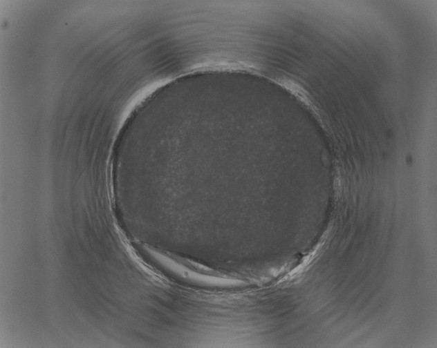 X0000062631030200601181714