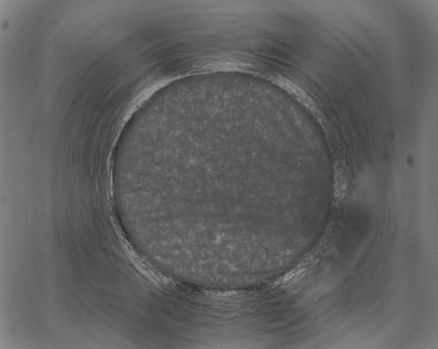 X0000062631031200601181714