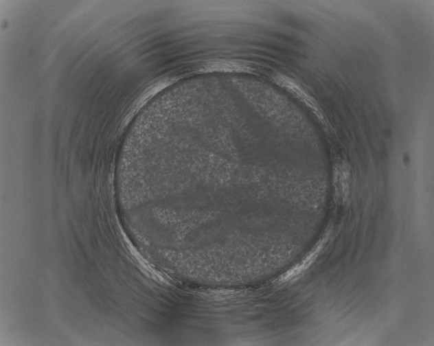 X0000062631033200601181714