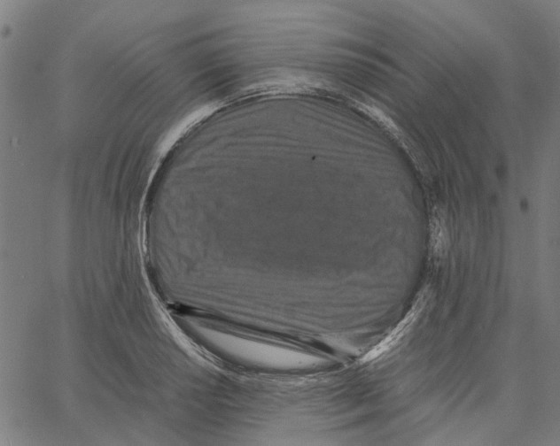 X0000062631034200601181714