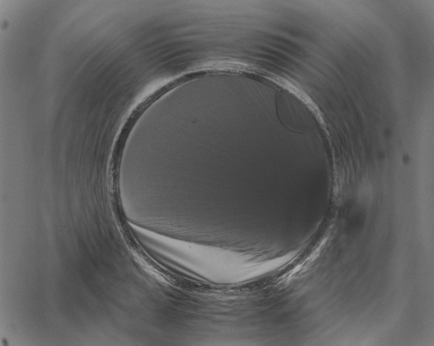 X0000062631037200601181715