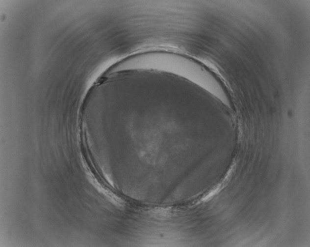 X0000062631038200601181715