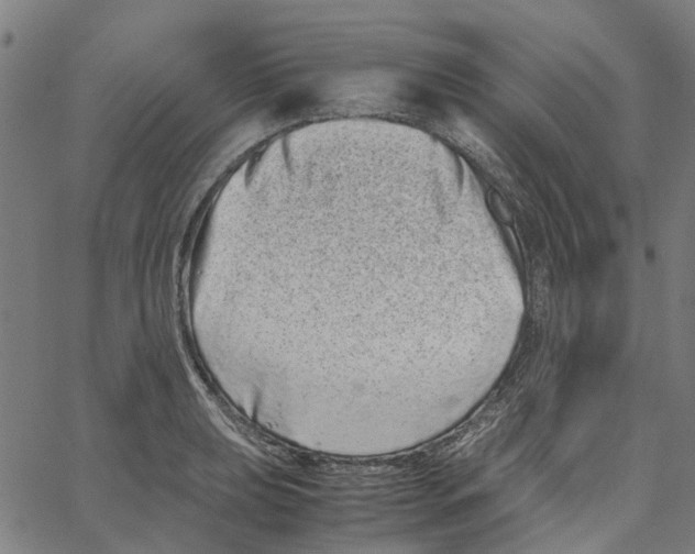 X0000062631039200601181715