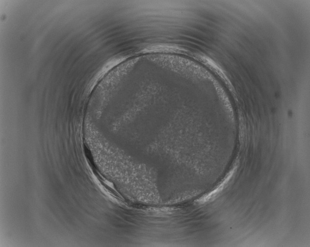 X0000062631041200601181715