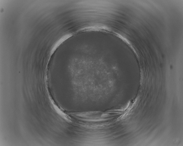 X0000062631042200601181715