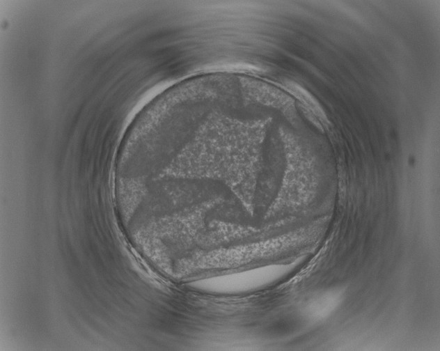 X0000062631044200601181715