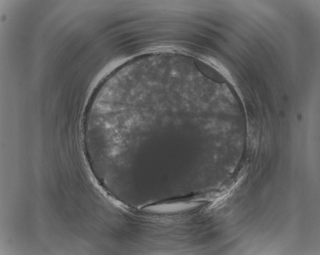 X0000062631045200601181715