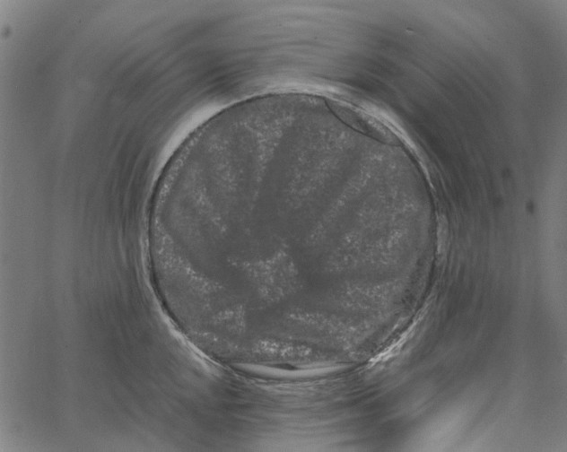 X0000062631048200601181715