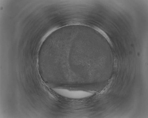 X0000062631051200601181715