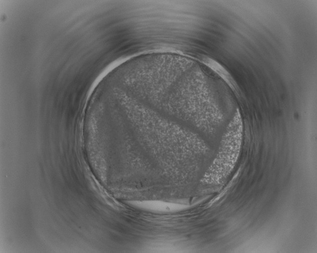 X0000062631052200601181715