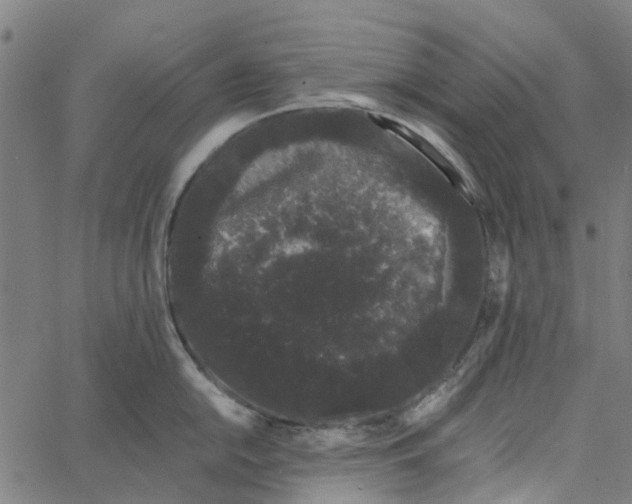 X0000062631054200601181715