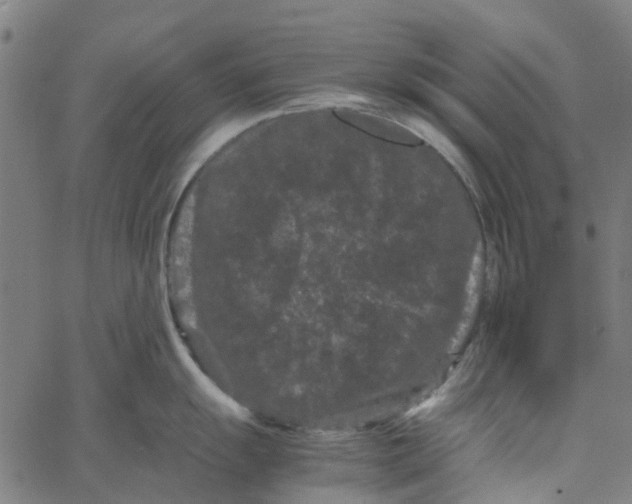 X0000062631055200601181715