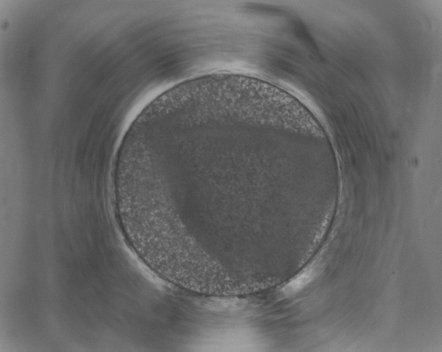 X0000062631056200601181715