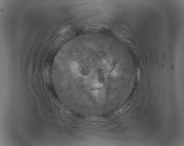 X0000062631059200601181714