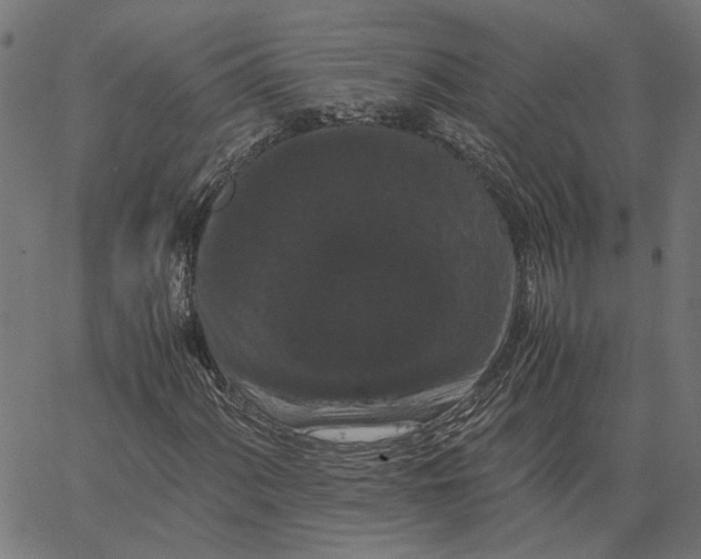 X0000062631060200601181714