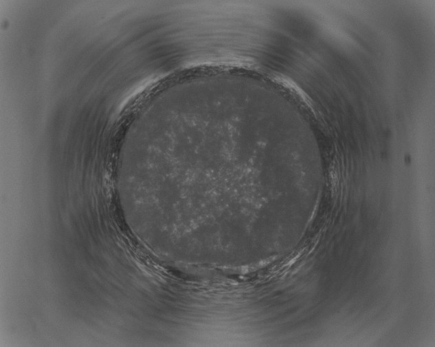 X0000062631064200601181714