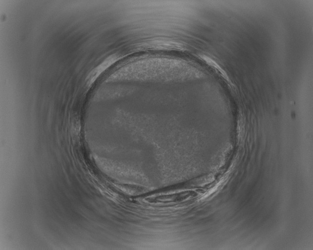 X0000062631065200601181714