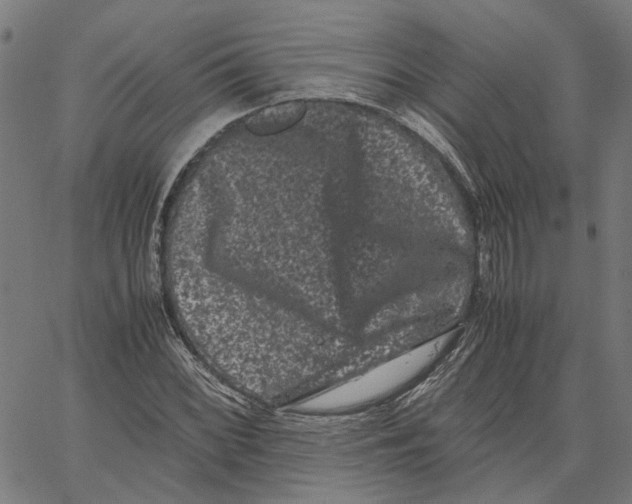 X0000062631068200601181714