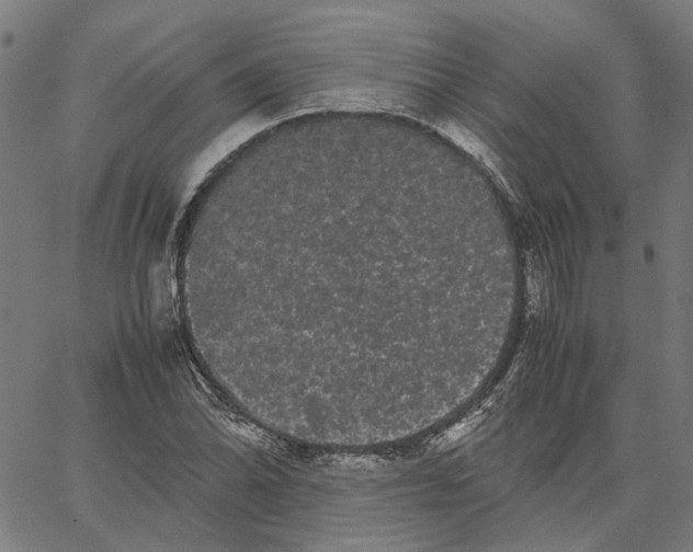 X0000062631070200601181714