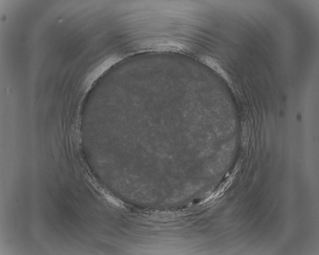 X0000062631071200601181714