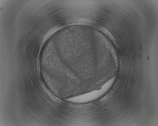 X0000062631072200601181714