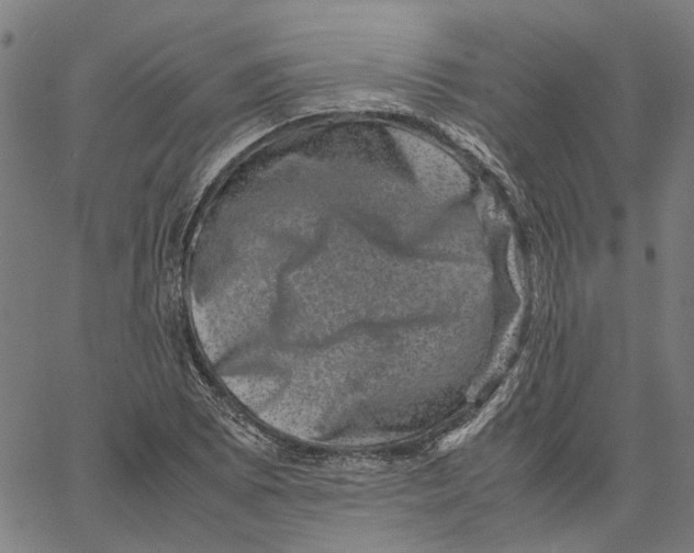 X0000062631073200601181714