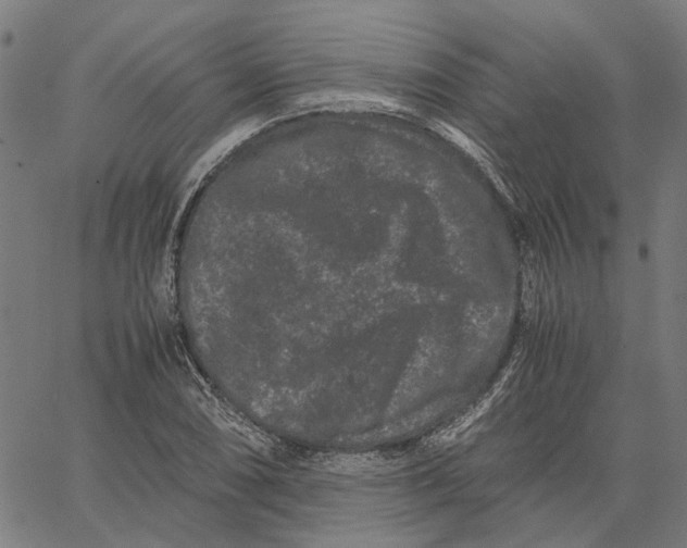 X0000062631074200601181714