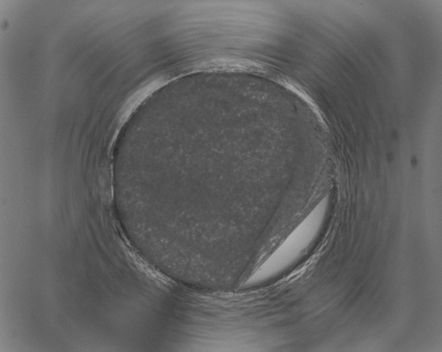 X0000062631075200601181714