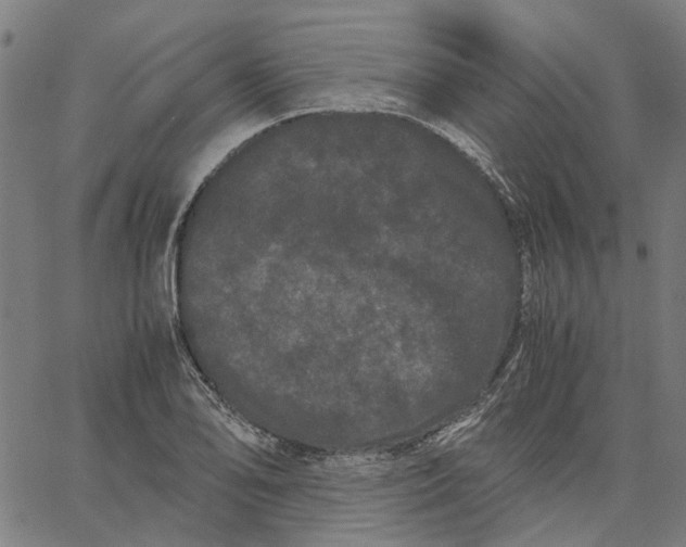 X0000062631078200601181714