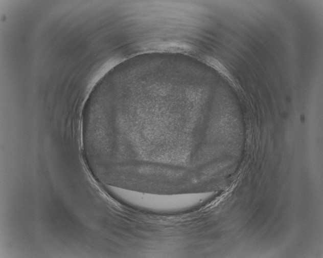 X0000062631079200601181714