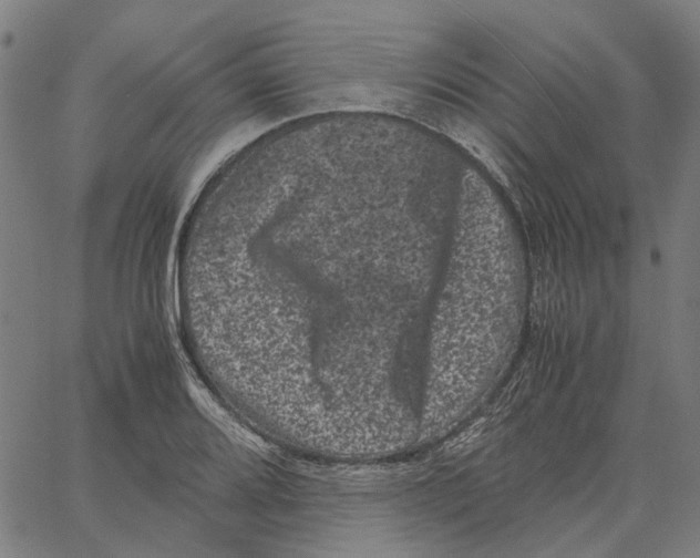 X0000062631080200601181714