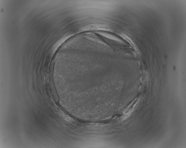 X0000062631081200601181714