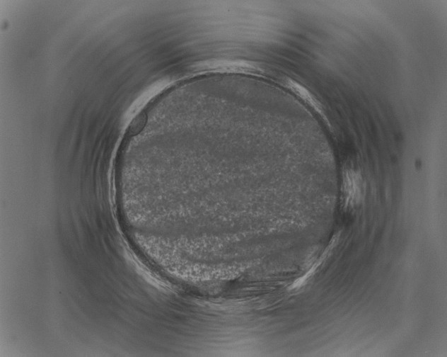 X0000062631082200601181714