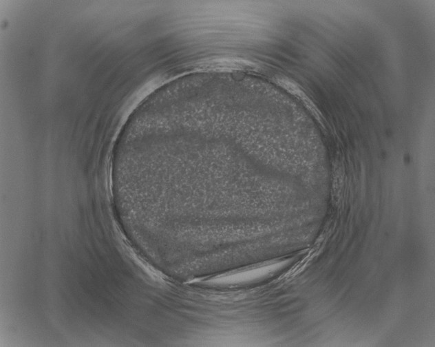 X0000062631083200601181714