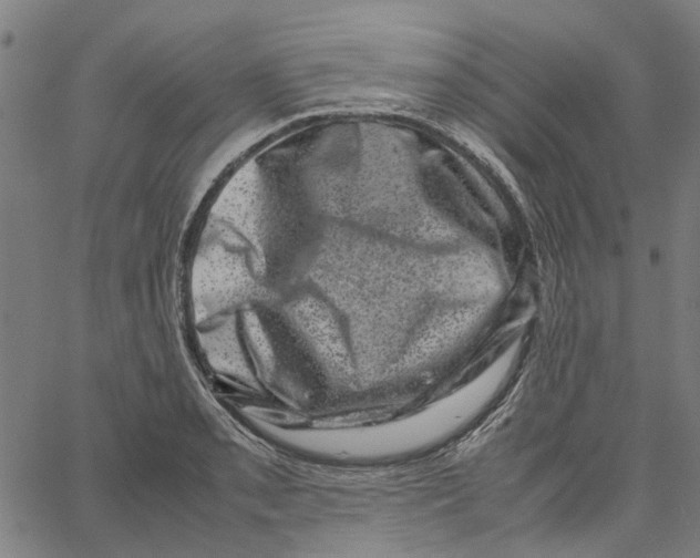 X0000062631085200601181714