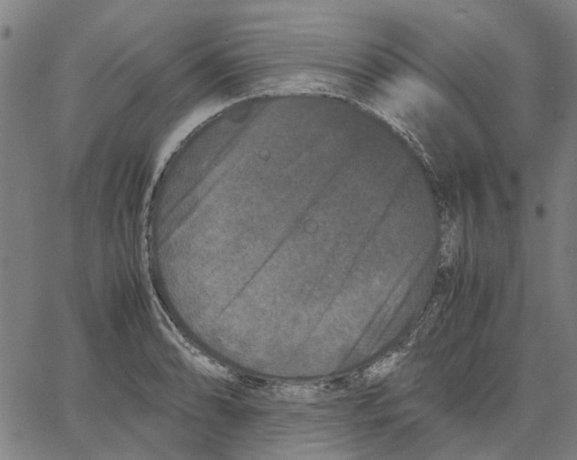 X0000062631086200601181714